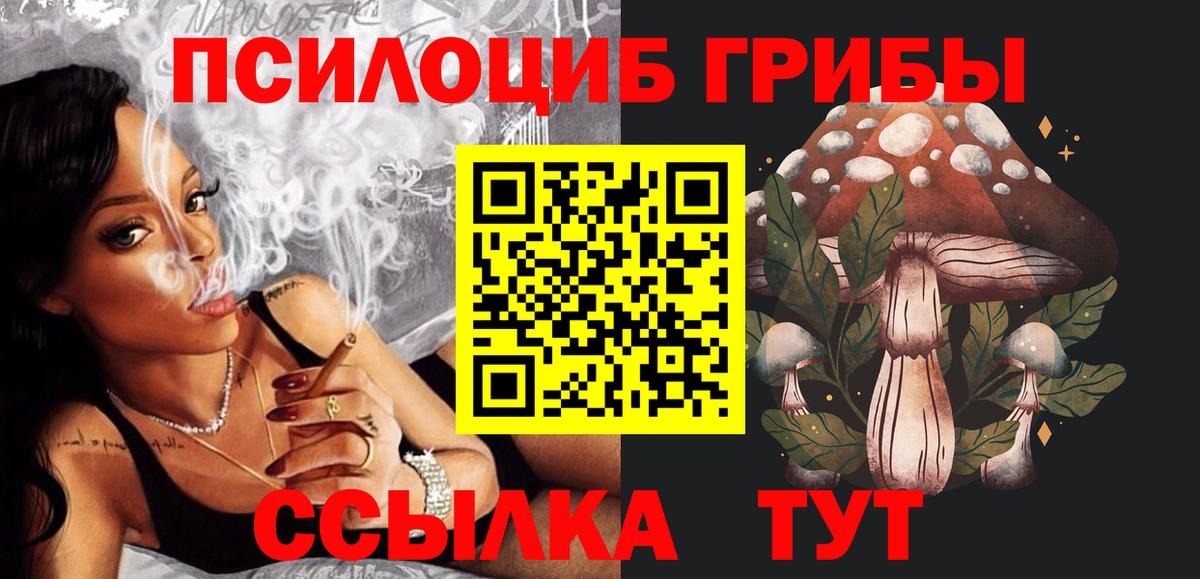 ГАШ Губаха